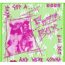 WE'VE GOT A.... FUZZBOX.... AND WE'RE GONNA USE IT!! Rules & Regulations +3 (Vindaloo Records UGH 11T) UK 1986 45RPM EP edges 12" 